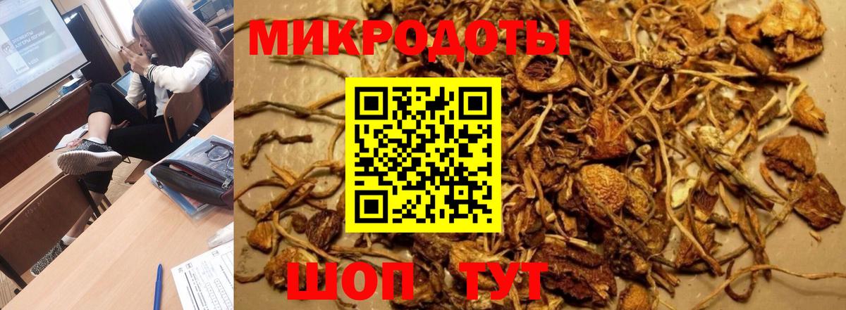 Псилоцибиновые грибы MAGIC MUSHROOMS  Псилоцибиновые грибы мухоморы  Вход с VPN  наркота  Новотроицк 